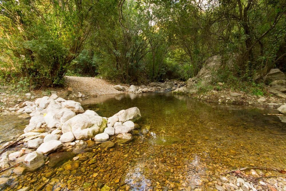 Finca El Huertezuelo El Bosque Extérieur photo