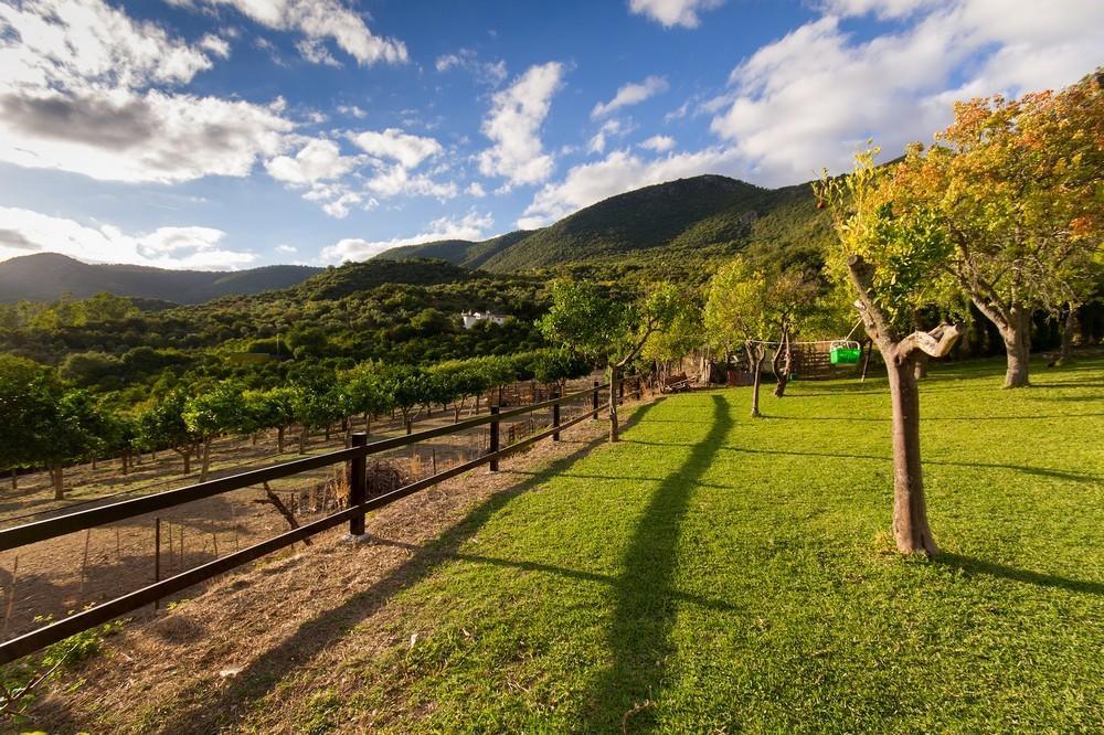 Finca El Huertezuelo El Bosque Extérieur photo