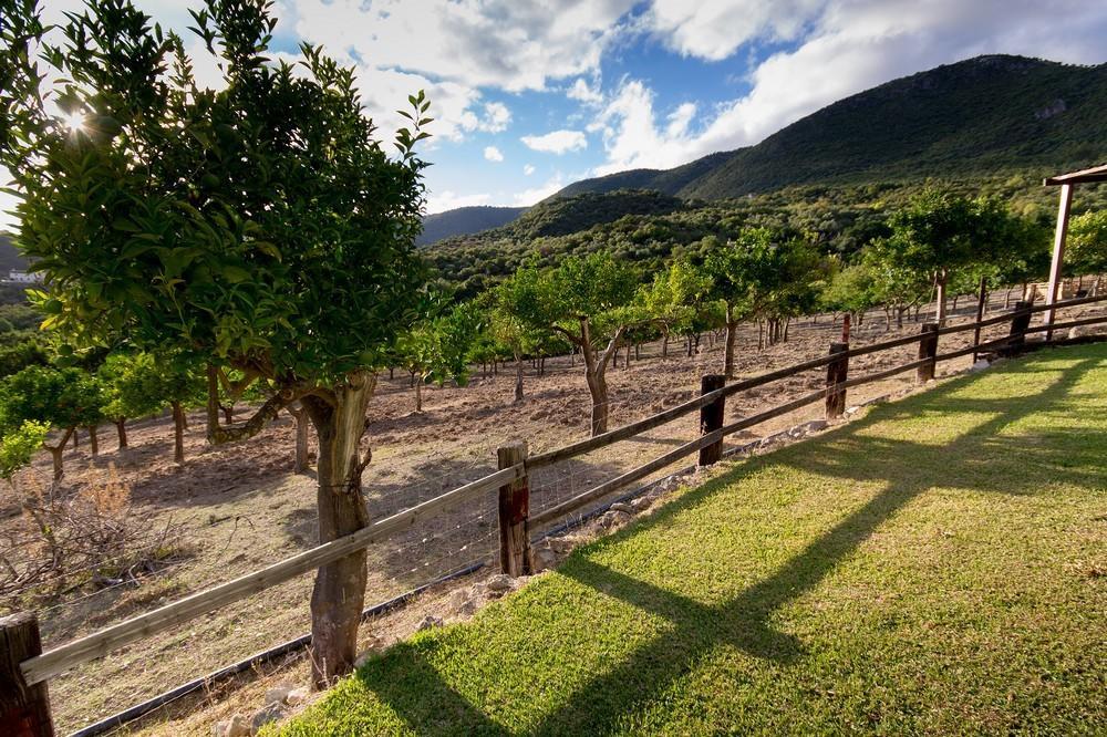 Finca El Huertezuelo El Bosque Extérieur photo